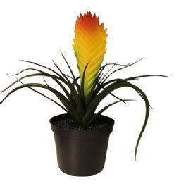 salg af Bromelia, 30 cm. - kunstige blomster
