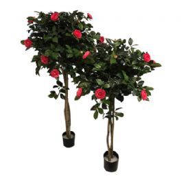 salg af Kunstig camelia træ, H130 cm.