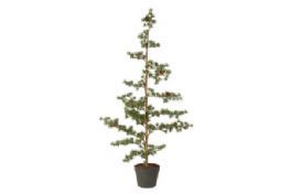 salg af Kunstig cedertræ, H100 cm.