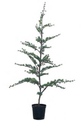 salg af Kunstig cedertræ, H80 cm.