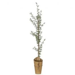 salg af Kunstig cedertræ, H70 cm.