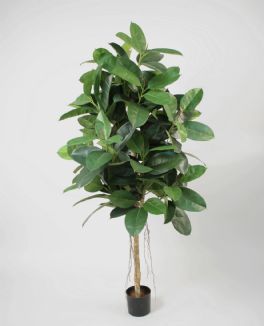 salg af Clusia, 120 cm. - Kunstige planter