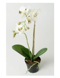 salg af Creme Orkide, 40 cm. - kunstige Orkider