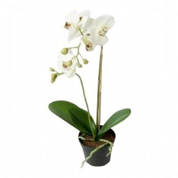 salg af Kunstig hvid orkide, 2 grenet - H40 cm.