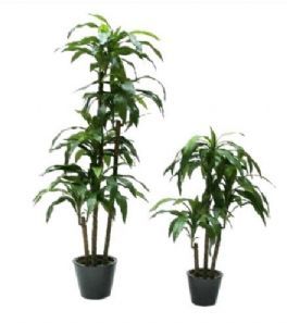 salg af Kunstig dracena, fragrans - H100 cm.