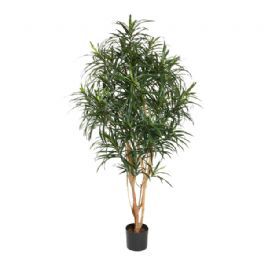 salg af Kunstig dracena reflexa, 150 cm. - kunstige træer