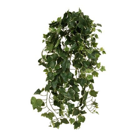 Efeu - - 75 cm. - kunstige planter Grønne hængeplanter