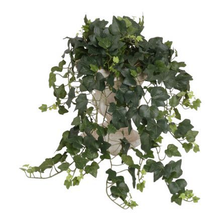 Efeu hængebusk, storbladet - 65 - kunstige planter - Grønne hængeplanter