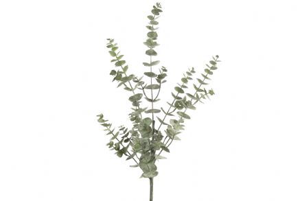 salg af Eucalyptus gren, grågrøn - 90 cm. - Kunstige grene