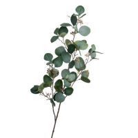 salg af Eucalyptus gren, grøn - 75 cm. - Kunstige grene