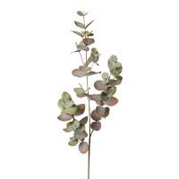 salg af Eucalyptus gren grøn/lilla, 70 cm - kunstig gren