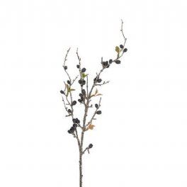 salg af Eucalyptusgren, sort - H75 cm.