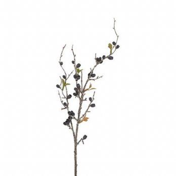 salg af Eucalyptusgren, sort - H75 cm.