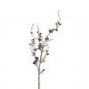 salg af Eucalyptusgren, sort - H75 cm.
