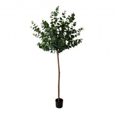 salg af Kunstig eucalyptustræ, opstammet - H170 cm.