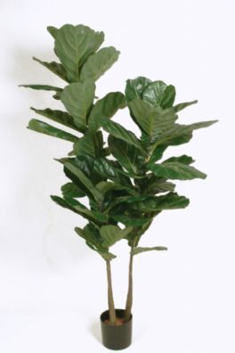 salg af Fiddle leaf, 180 cm. - kunstige planter