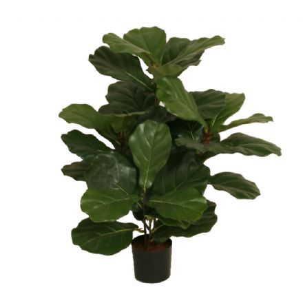 salg af Fiddle leaf, 65 cm. - kunstige planter