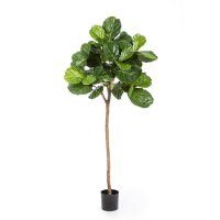 salg af Kunstig fiddle leave, opstammet - 200 cm. - kunstige planter