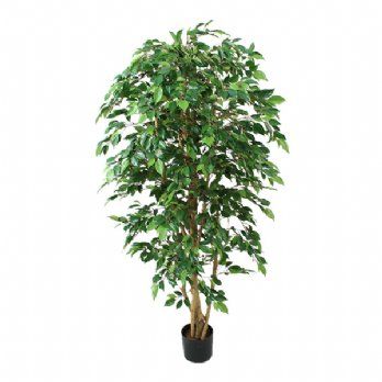 salg af Kunstig ficus, natasja, H110 cm.