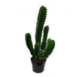 salg af Finger kaktus - 60 cm. - kunstige planter
