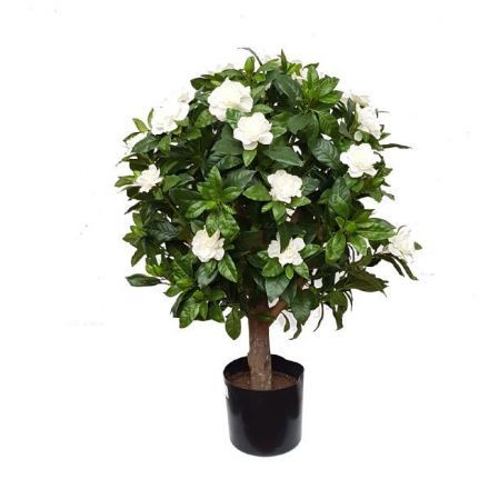 salg af Kunstig gardenia, hvid H60 cm.