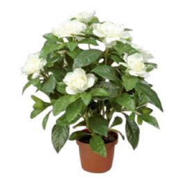 salg af Kunstig hvid gardenia, H32 cm.