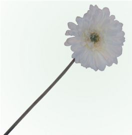 salg af Kunstig hvid gerbera, H50 cm.