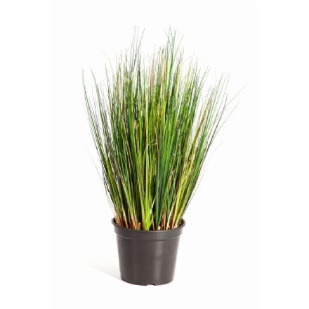 salg af Græs, bred - 60 cm. - kunstige græsser