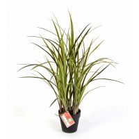 salg af Kunstig græs i potte, UV- H75 cm.