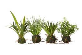 salg af Græsplante med rod, nr.1v - 30 cm. - kunstige planter