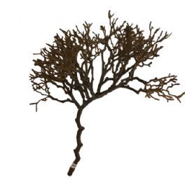 salg af Gren, 35 cm. - kunstige grene