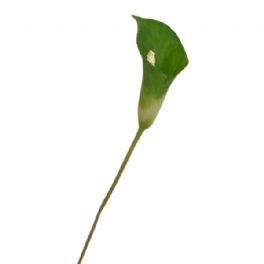 salg af Grøn Calla, plast - 50 cm. - kunstige blomster