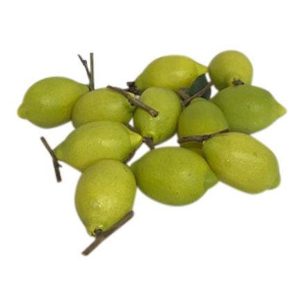 salg af Grøn Citron, 3 stk. - 8 cm. - kunstige frugter