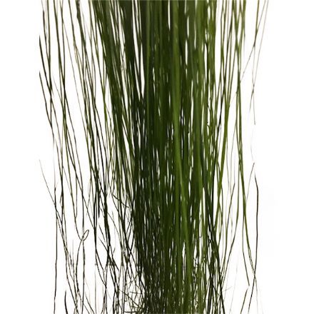 salg af Græs, hængende - L120 cm. - kunstige blomster