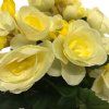 kunstig begonia