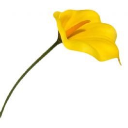 salg af Kunstig gul calla, skum - H60 cm.