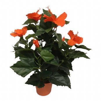 salg af Kunstig orange hawaiblomst, H42 cm.