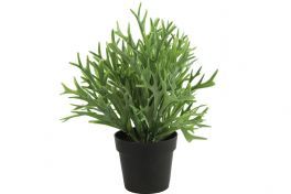 salg af Hjortetaks plante, grågrøn - 30 cm. - kunstige planter