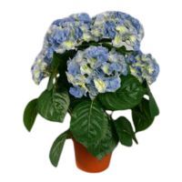 salg af Lyseblå Hortensia, 40 cm. - kunstige blomster