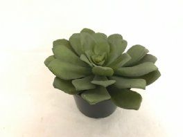 salg af Husløg med potte, grøn 12 cm. - kunstige planter