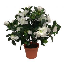 salg af Hvid Azalea, 30 cm. - kunstige blomster