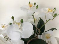 kunstig hængende orkide