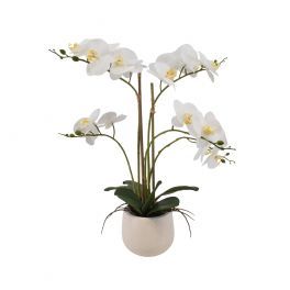 salg af Hvid Orkide, 55 cm. - kunstige blomster