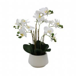 salg af Hvid Orkide, 6 grenet - 45 cm. - kunstige orkider