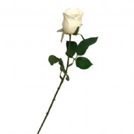 salg af Kunstig cremefarvet rose, H48 cm.