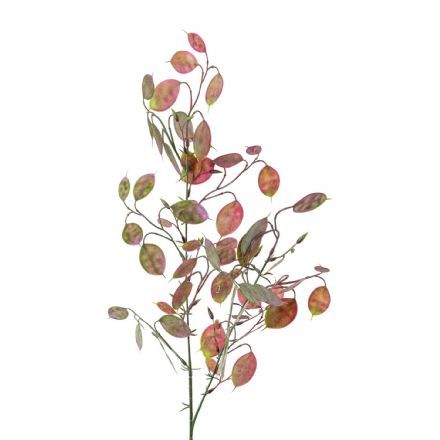 salg af Judas penge, Rosa - 75 cm. - kunstige blomster