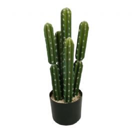 salg af Kaktus, 50 cm. - kunstige planter