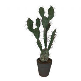 salg af Kaktus, 60 cm. - kunstige planter