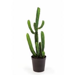 salg af Finger kaktus, 98 cm. - kunstige planter