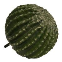 salg af Kaktus, kugle - Ø24 cm. - kunstige planter
